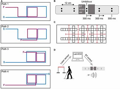 Comparing Tactile to Auditory Guidance for Blind Individuals